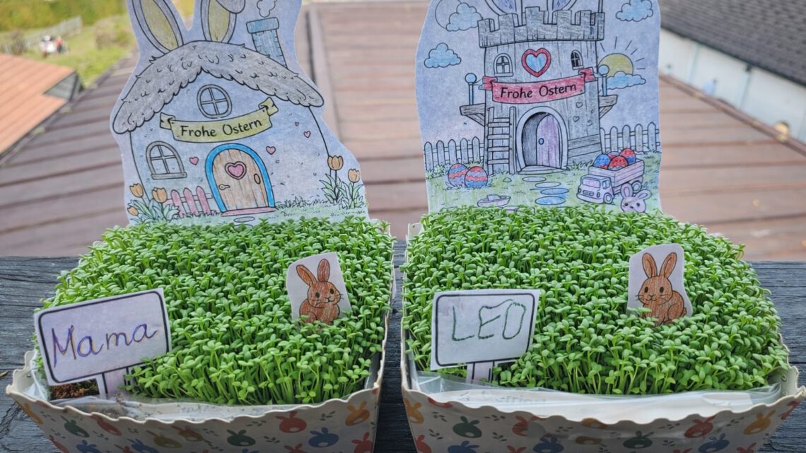 DIY Kresse-Garten zu Ostern – süßes Bastelprojekt mit Kindern (inkl. Malvorlage)