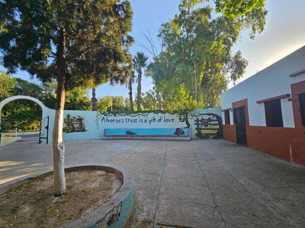Sahara Beach AquaPark Tunesien – persönliche Eindrücke von unserem Familienurlaub mit fünf Kindern. Aquapark, Pools, Strand, Meer, Animation, Colour Party und Reitstall im All Inclusive Familienhotel in Monastir.